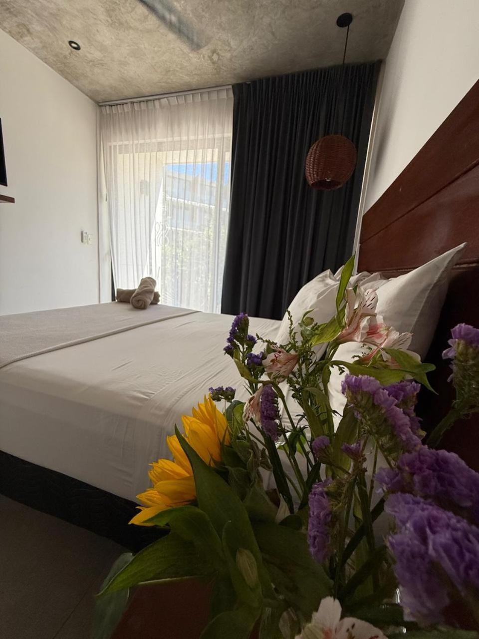 Hotel Zendero 图卢姆 外观 照片